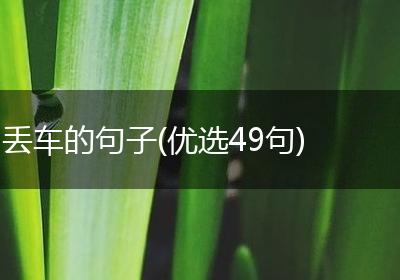丢车的句子(优选49句)