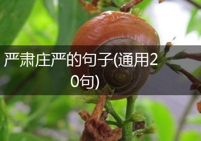 严肃庄严的句子(通用20句)