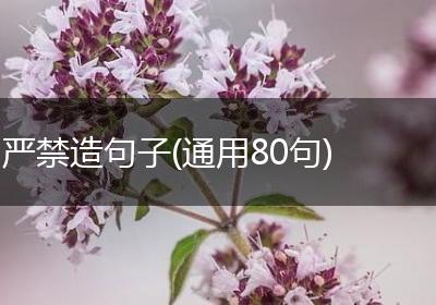 严禁造句子(通用80句)