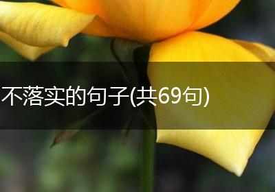 不落实的句子(共69句)