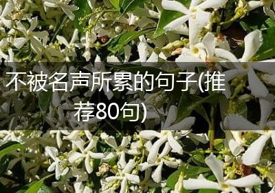 不被名声所累的句子(推荐80句)