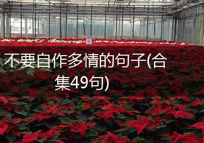 不要自作多情的句子(合集49句)