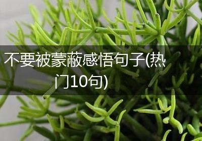 不要被蒙蔽感悟句子(热门10句)