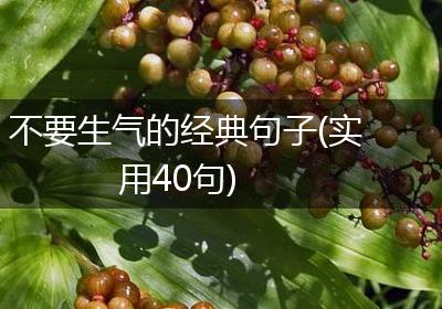 不要生气的经典句子(实用40句)