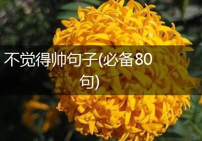 不觉得帅句子(必备80句)