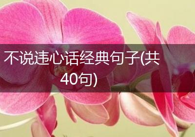 不说违心话经典句子(共40句)