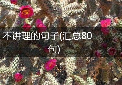 不讲理的句子(汇总80句)