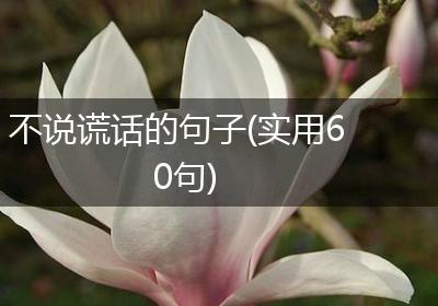 不说谎话的句子(实用60句)