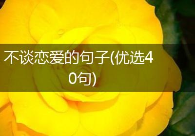 不谈恋爱的句子(优选40句)