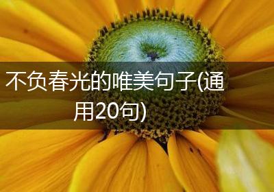 不负春光的唯美句子(通用20句)
