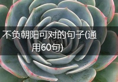不负朝阳可对的句子(通用60句)