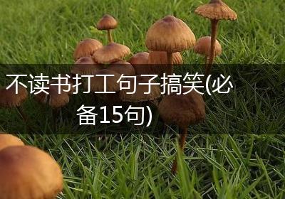 不读书打工句子搞笑(必备15句)