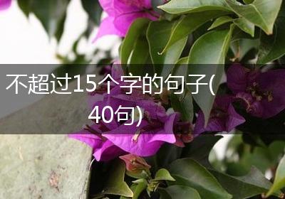 不超过15个字的句子(40句)