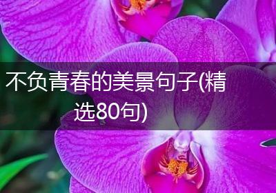 不负青春的美景句子(精选80句)