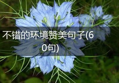 不错的环境赞美句子(60句)