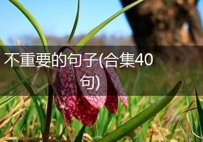 不重要的句子(合集40句)