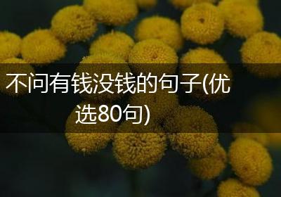 不问有钱没钱的句子(优选80句)