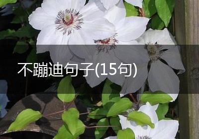 不蹦迪句子(15句)