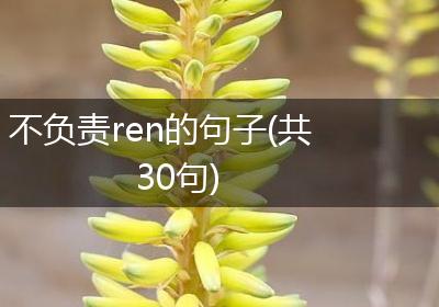 不负责ren的句子(共30句)