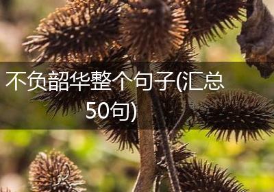不负韶华整个句子(汇总50句)