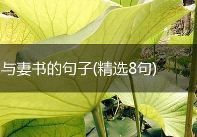 与妻书的句子(精选8句)