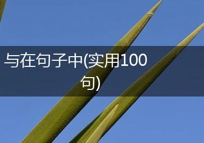 与在句子中(实用100句)