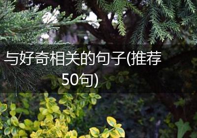 与好奇相关的句子(推荐50句)