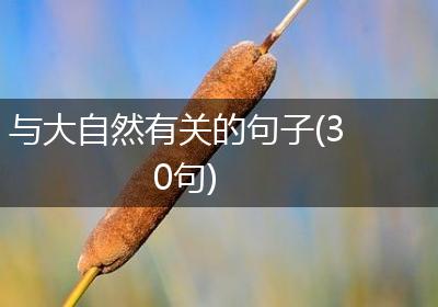 与大自然有关的句子(30句)