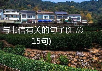 与书信有关的句子(汇总15句)