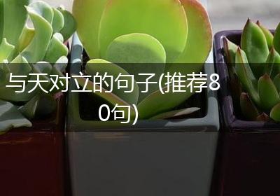 与天对立的句子(推荐80句)