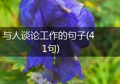 与人谈论工作的句子(41句)