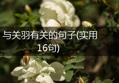 与关羽有关的句子(实用16句)