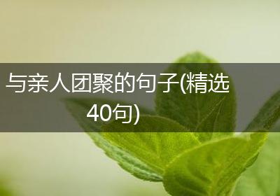 与亲人团聚的句子(精选40句)