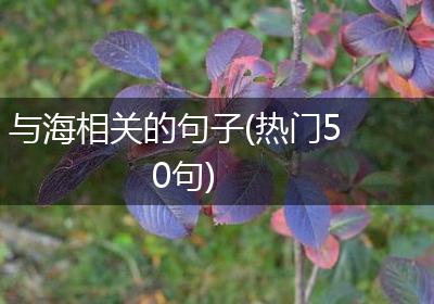 与海相关的句子(热门50句)