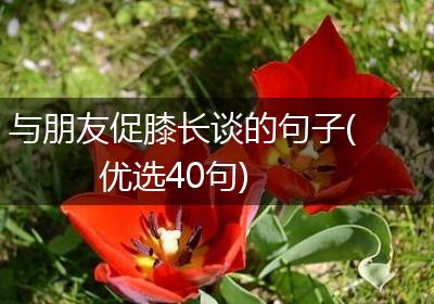 与朋友促膝长谈的句子(优选40句)