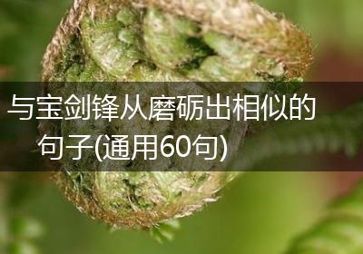与宝剑锋从磨砺出相似的句子(通用60句)