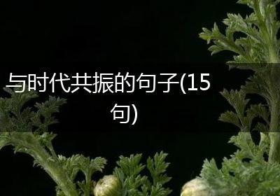 与时代共振的句子(15句)