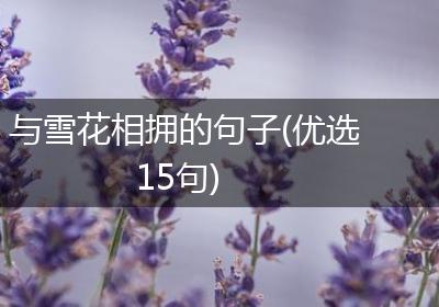 与雪花相拥的句子(优选15句)
