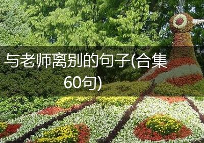 与老师离别的句子(合集60句)