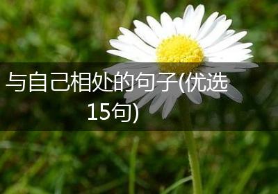 与自己相处的句子(优选15句)