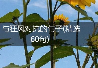 与狂风对抗的句子(精选60句)