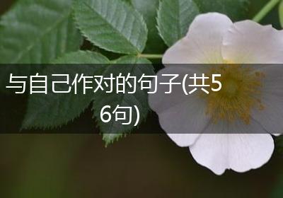 与自己作对的句子(共56句)