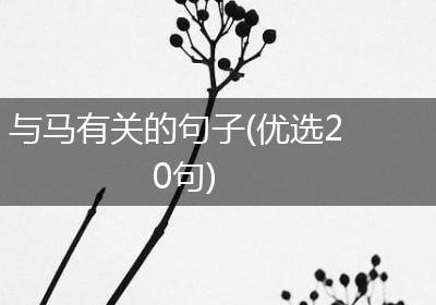 与马有关的句子(优选20句)