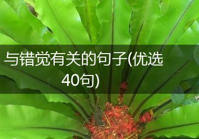 与错觉有关的句子(优选40句)