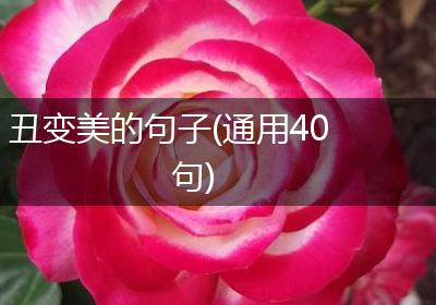 丑变美的句子(通用40句)