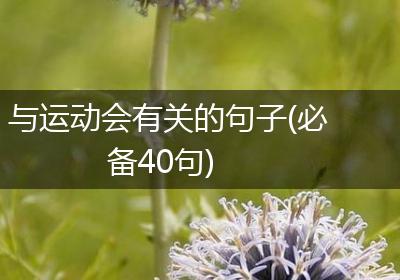 与运动会有关的句子(必备40句)