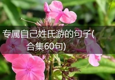 专属自己姓氏游的句子(合集60句)