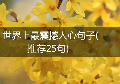 世界上最震撼人心句子(推荐25句)