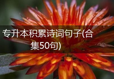 专升本积累诗词句子(合集50句)