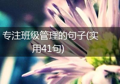 专注班级管理的句子(实用41句)